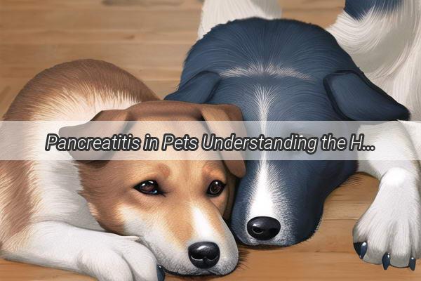 Pancreatitis in Pets Understanding the Hidden Threat That Can Affect Your Furry Friend